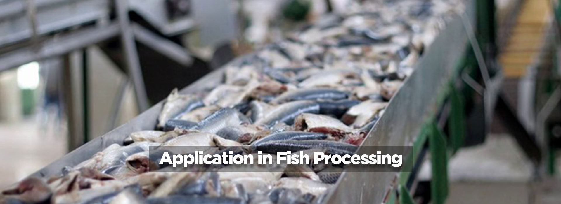 Application in Fish Processing