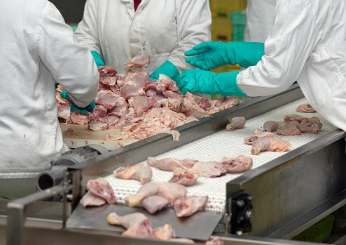 MEAT, POULTRY AND SEAFOOD PROCESSING SOLUTION