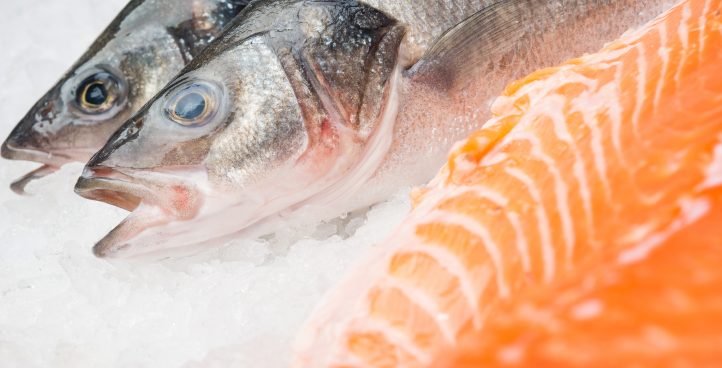 MEAT, POULTRY AND SEAFOOD PROCESSING SOLUTION